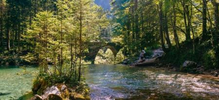 Dolina Kamniške Bistrice